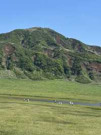 평화로운 아소산 쿠사센리를 보며 ⛰️숯커피를 즐길 수 있는 구마모토 아소산 카페투어 💚