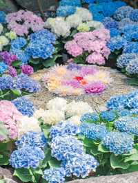 【奈良】7/6まで開催！紫陽花の池を見に行こう🩵