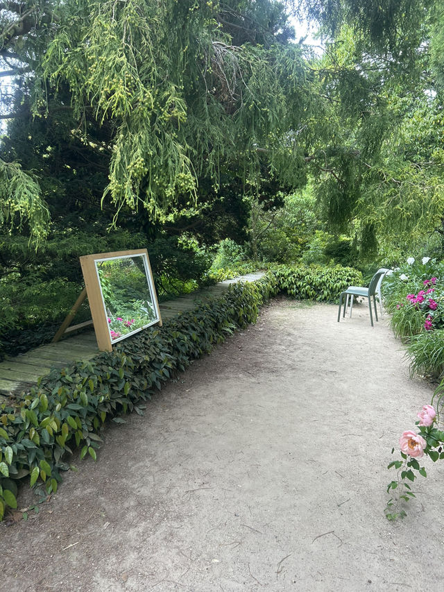 🌳 바다를 품은 식물들의 낙원, 천리포수목원