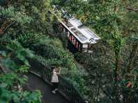 ทริปตะลุยฮ่องกง 4 วัน 3 คืน กับ 22 สถานที่ห้ามพลาด