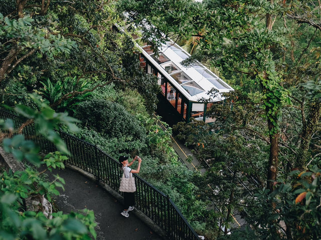 ทริปตะลุยฮ่องกง 4 วัน 3 คืน กับ 22 สถานที่ห้ามพลาด