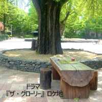 【清州】ソウルからサクッと日帰り旅❗️清州中央公園と周辺グルメ　