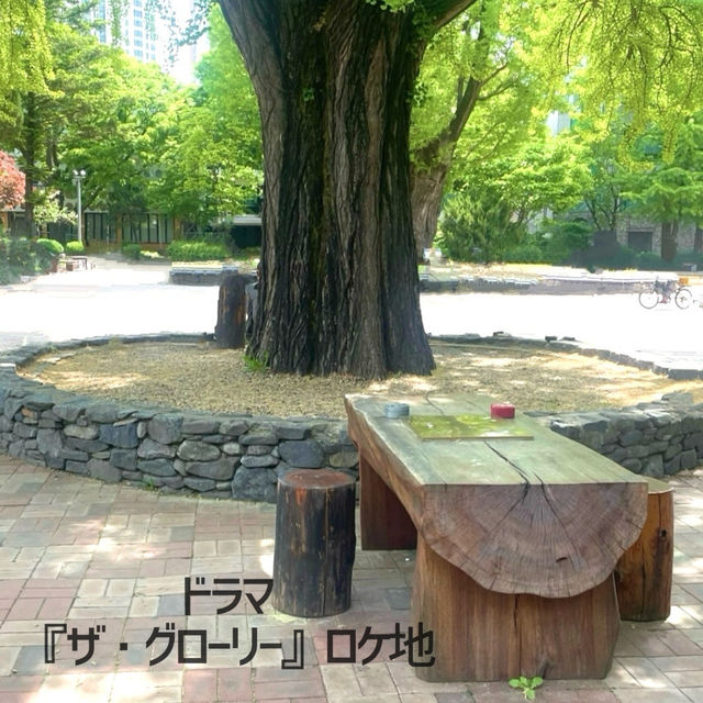 【清州】ソウルからサクッと日帰り旅❗️清州中央公園と周辺グルメ　