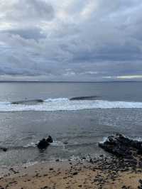 🇳🇿✈️ The Nobbies" refers to a captivating natural area 🌊🐟
