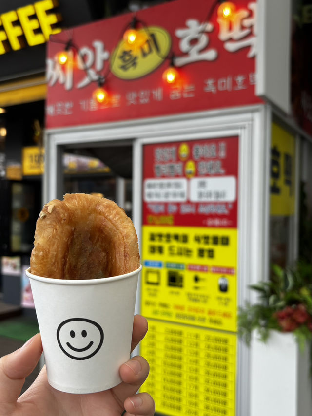 속초 애정하는 맛집