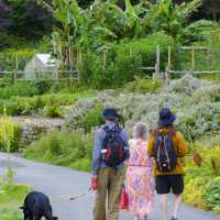 UK's Eden Project: A Must-Visit in Devon! 🌿🌎