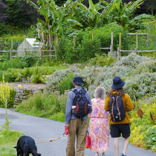 UK's Eden Project: A Must-Visit in Devon! 🌿🌎