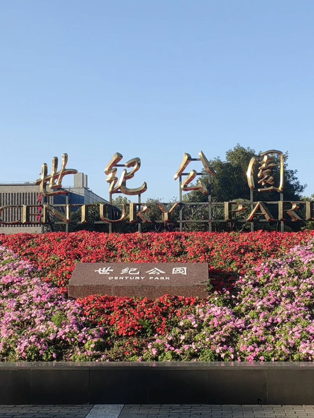 Century Park on a Budget: My Day Outdoors in Shanghai
