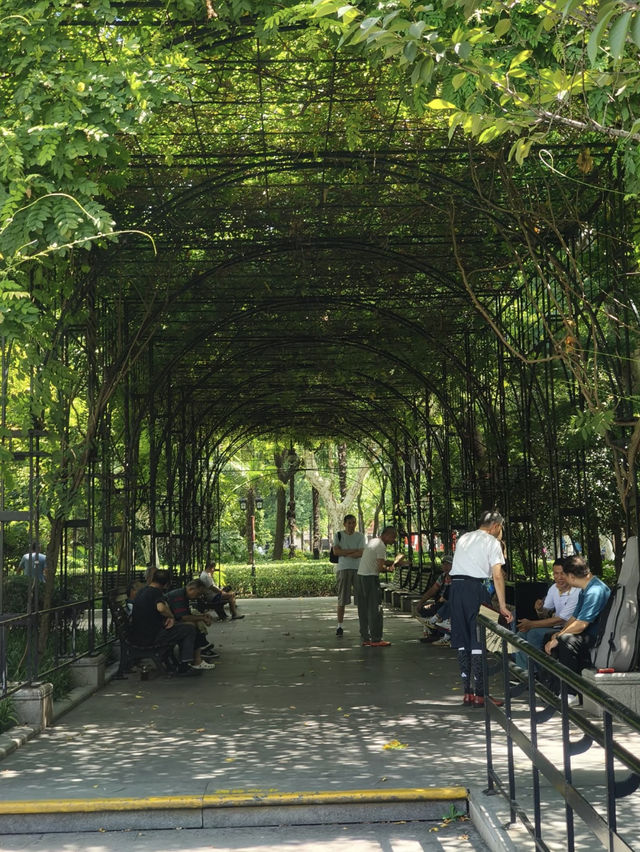 Fuxing Park – A Century‑Old French Garden in Shanghai’s Heart