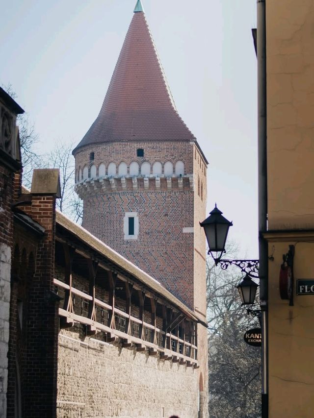 ✨🇵🇱 Krakow Calling: Budget Bliss in Poland! 🇵🇱✨