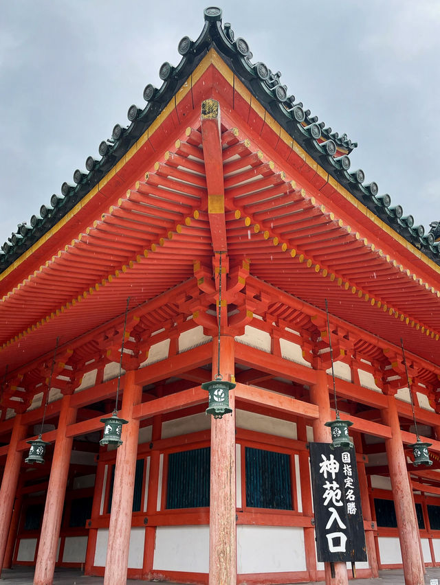 京都平安神宮｜巨大鳥居壯觀吸睛，本殿整修中仍值得一訪