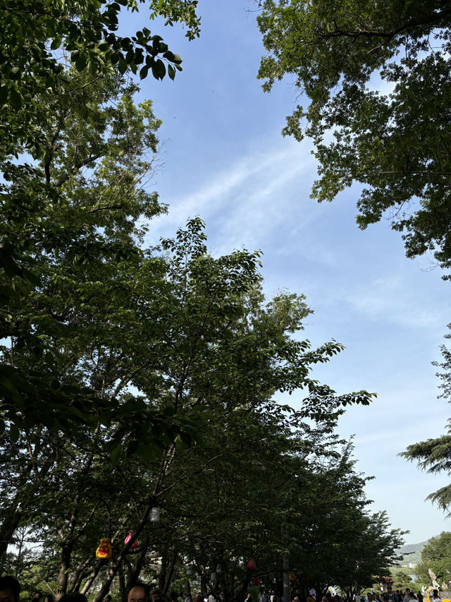 Xuanwu Lake