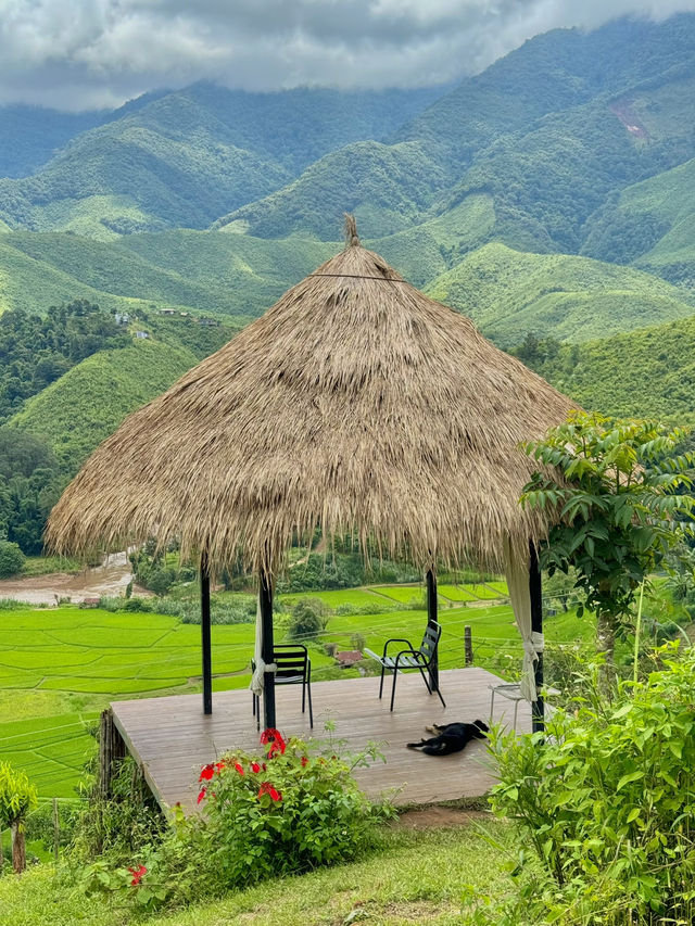 คาเฟ่สะปัน สวยจนอยากหยุดเวลา 💚🏞️