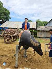 กินแฟ ดูฟาย สโลว์ไลฟ์ไปกับน้องควาย ณ หมู่บ้านอนุรั