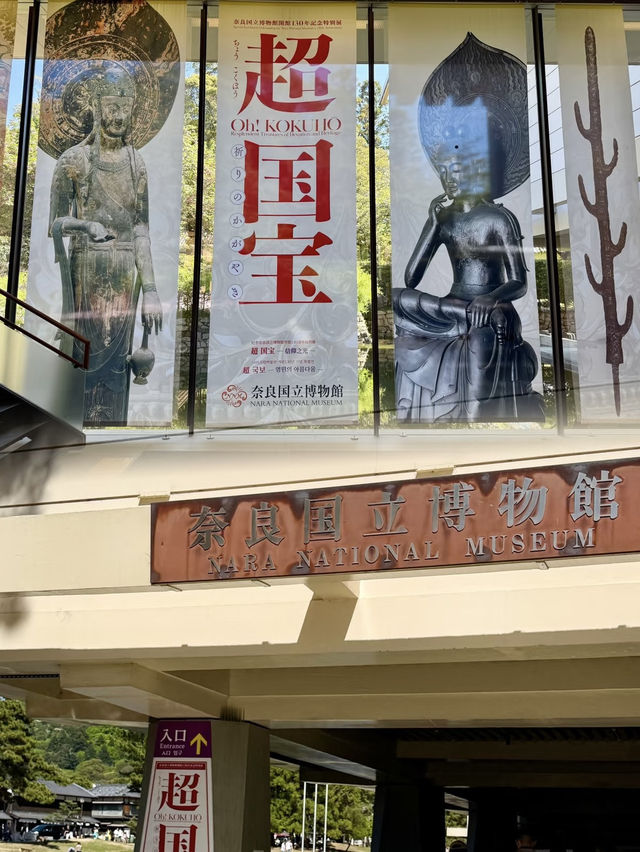 A Tranquil Cultural Treasure – My Visit to Nara National Museum, Nara