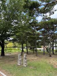 2022년 리모델링 한 전주 박물관🥹