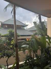 BALI🌴