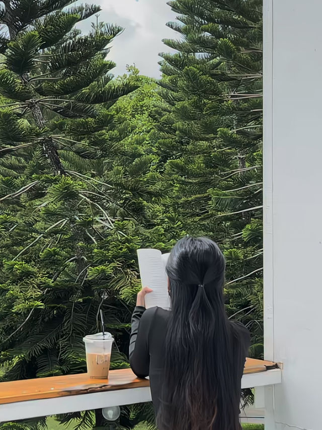 Fleur Cafe & Eatery คาเฟ่สไตล์สวนอังกฤษในแม่ริม
