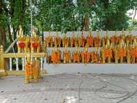 เงิน1ใบแดงได้ชมวิวสุดอลังการไหว้พระขอพรที่ หาดใหญ่