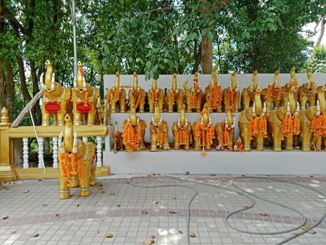 เงิน1ใบแดงได้ชมวิวสุดอลังการไหว้พระขอพรที่ หาดใหญ่