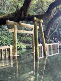 🦌【茨城・鹿嶋市 鹿島神宮】勝負運アップ＆旅立ちにおすすめの “関東最強パワースポット” 