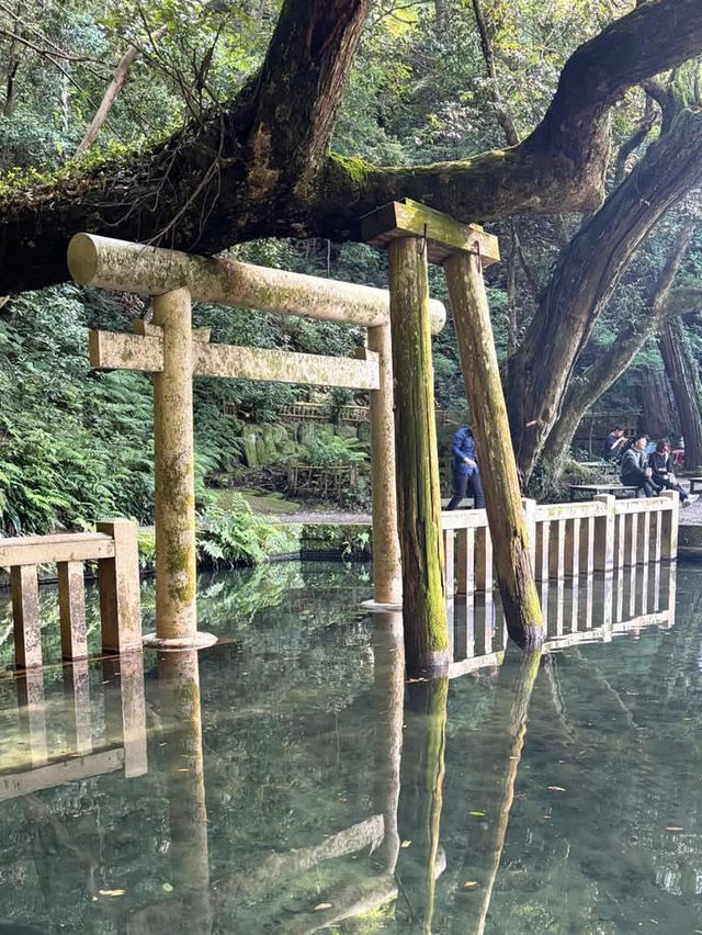 🦌【茨城・鹿嶋市 鹿島神宮】勝負運アップ＆旅立ちにおすすめの “関東最強パワースポット” 