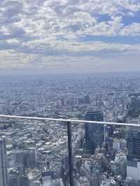 東京5日自由行
