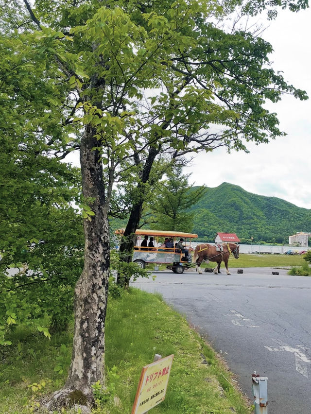 【榛名湖】高原の風と湖畔の絶景に癒されるアウトドア旅