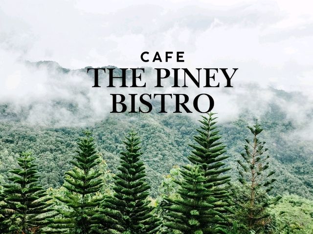 The Piney Bistro Cafe เขาค้อ 🍃☘️💚