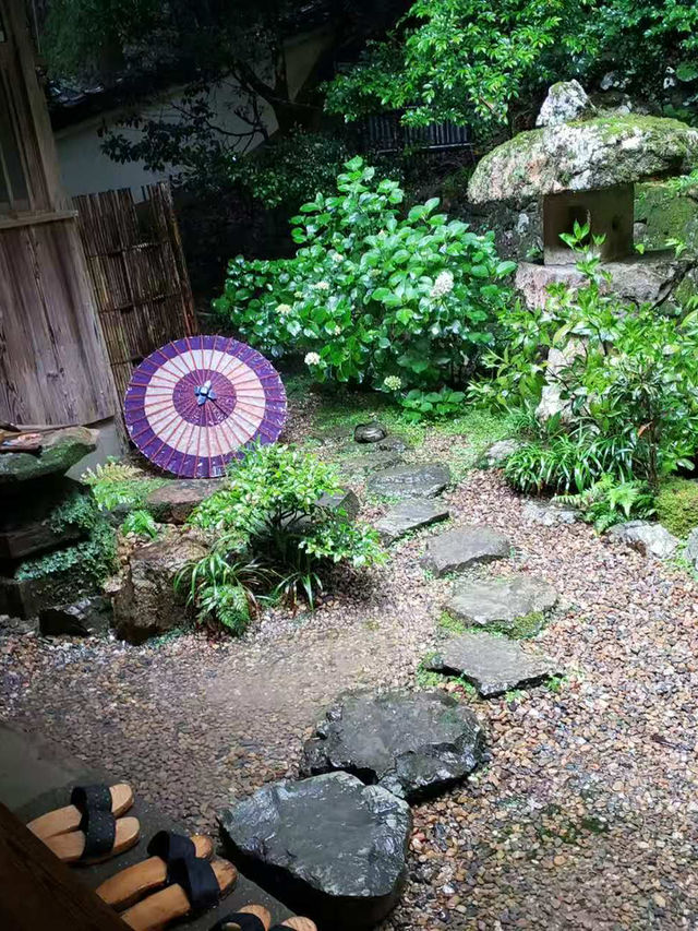 京都非常推薦😍繡球花瀑布、繡球花傘