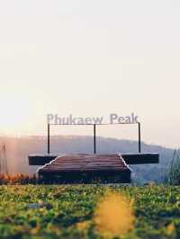 ที่นี่วิวดีทุกองศา at Phukaew Peak