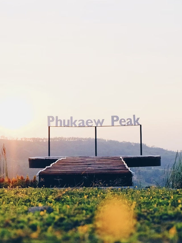 ที่นี่วิวดีทุกองศา at Phukaew Peak