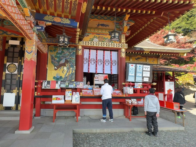 ⛩️ Finding Peace and Beauty at Yūtoku Inari Shrine