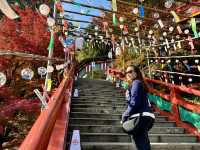 ⛩️ Finding Peace and Beauty at Yūtoku Inari Shrine
