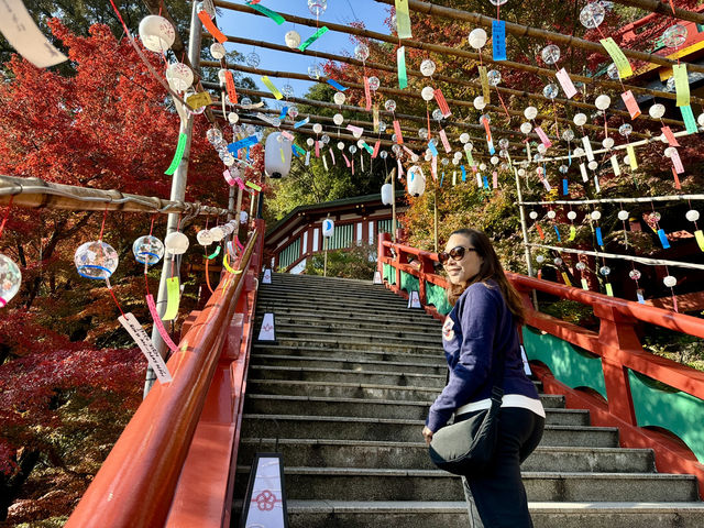 ⛩️ Finding Peace and Beauty at Yūtoku Inari Shrine