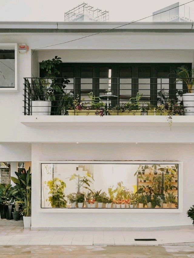 Mori Kohi Malaysia