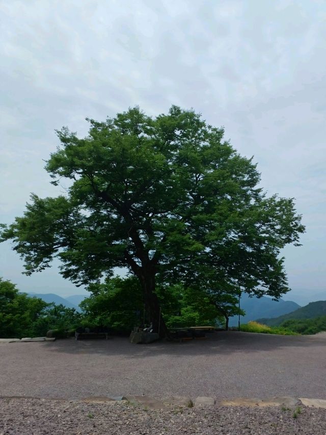 기암괴석이 빚은 장엄한 풍경의 절