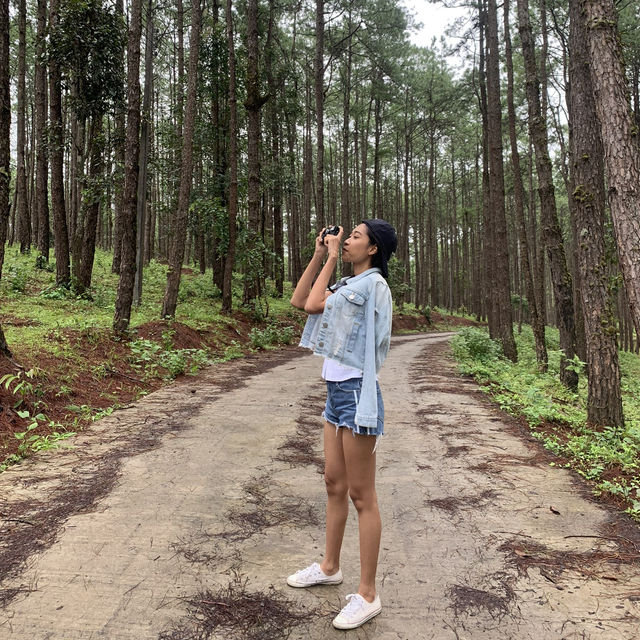 🌲Doi Bo Luang FIO – ที่พักกลางสวนป่าสน ในเชียงใหม่