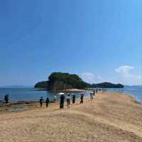 Mini Vacation on Shodoshima Island