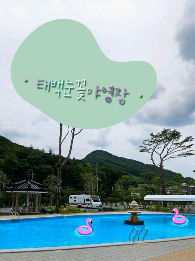 야외수영장이 넘사벽인 🤍태백눈꽃야영장