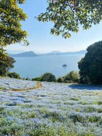 【福岡の隠れ楽園🌺】能古島でのんびり島時間を満喫しよう