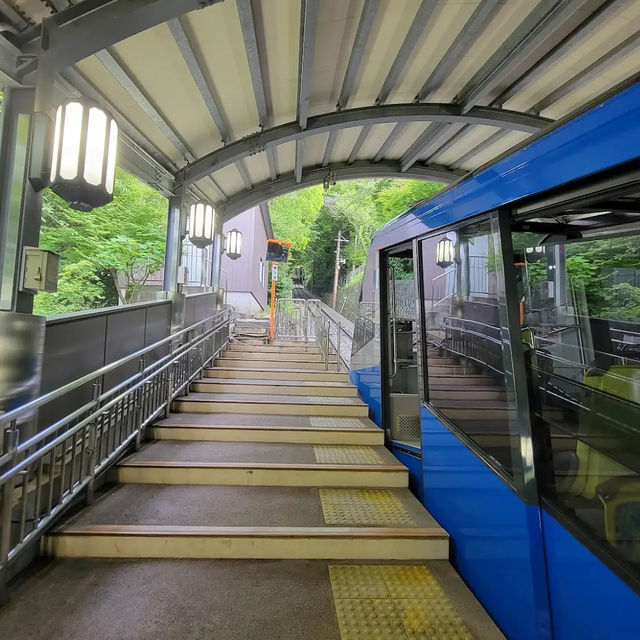 【夜空に広がる宝石箱💎】皿倉山で感動の夜景旅