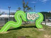 Skyline Luge Busan: The Perfect Blend of Speed and Fun! 🎢🏎️