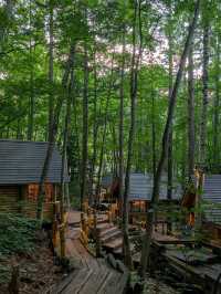 9 Days in Sapporo; Otaru; Lake Toya; Furano; Biei and Back to Sapporo