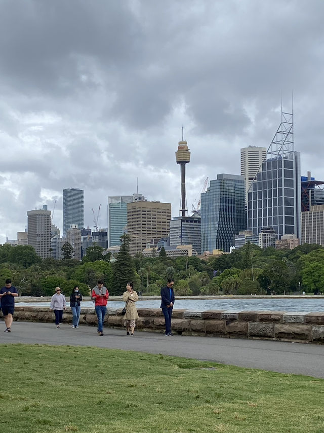 호주 가볼만한 곳 🇦🇺❤️🐨