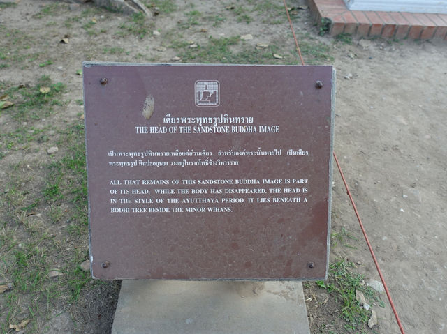 🌿 Whispers of the Past at Wat Mahathat, Ayutthaya
