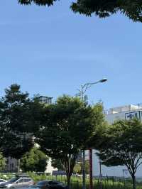 물금역- 와인이 무제한, 와와샤브샤브