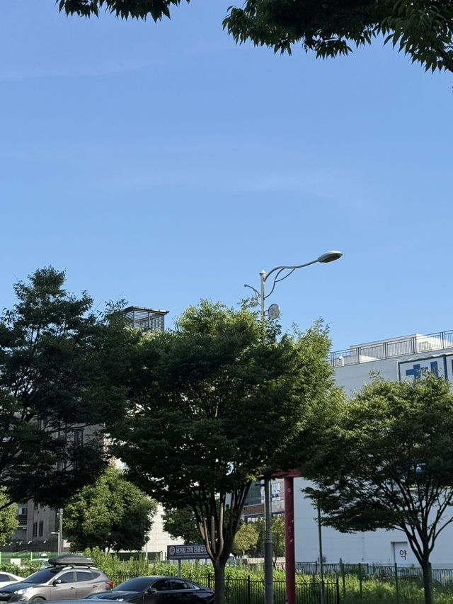 물금역- 와인이 무제한, 와와샤브샤브