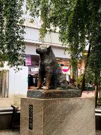 Shibuya Moments: From the Crossing to Hachikō