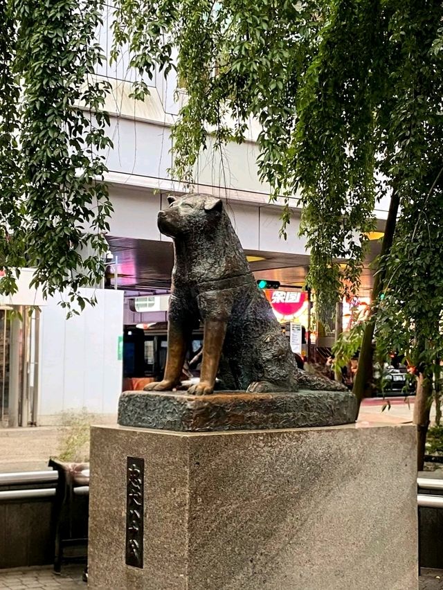 Shibuya Moments: From the Crossing to Hachikō
